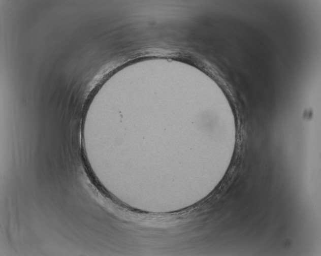 X0000114700011200912021118