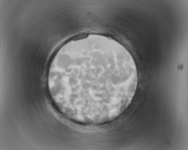 X0000114700012200912021118