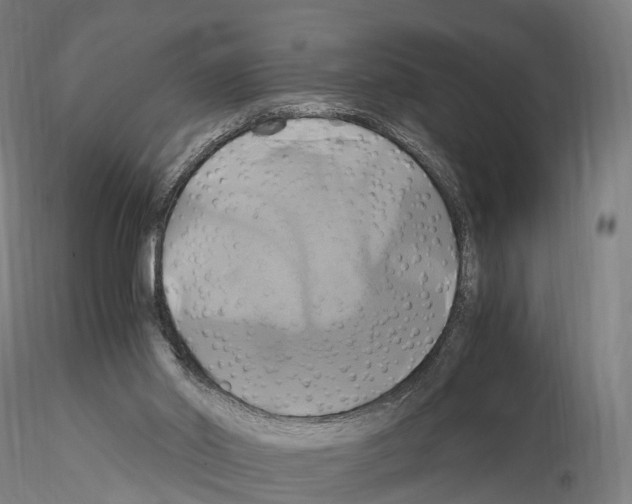 X0000114700014200912021118