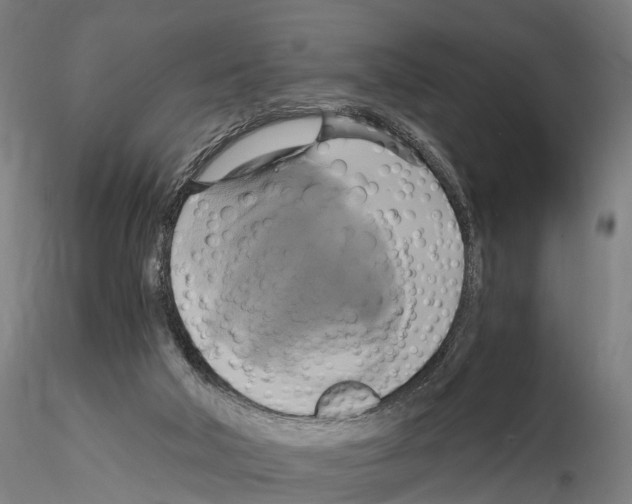 X0000114700018200912021118