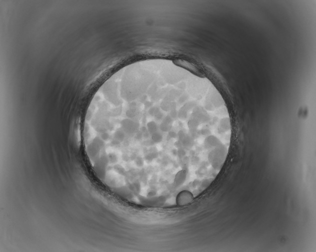 X0000114700020200912021118