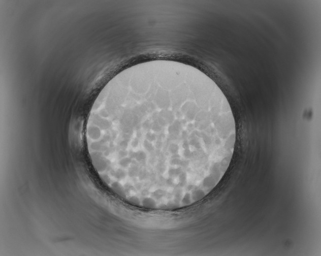 X0000114700024200912021118