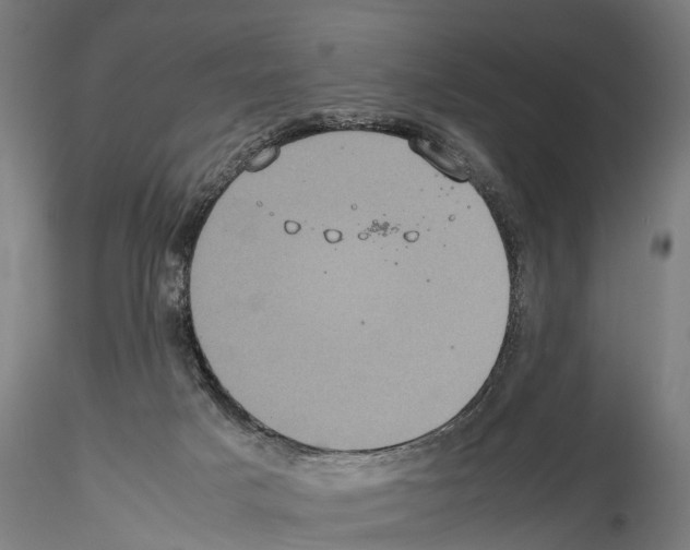 X0000114700025200912021118