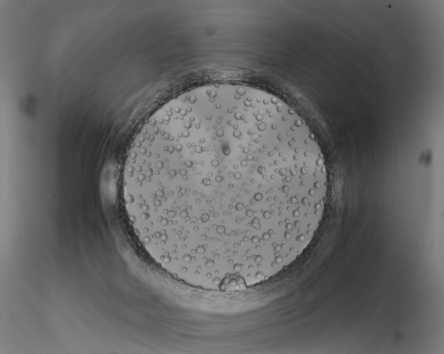 X0000114700026200912021118