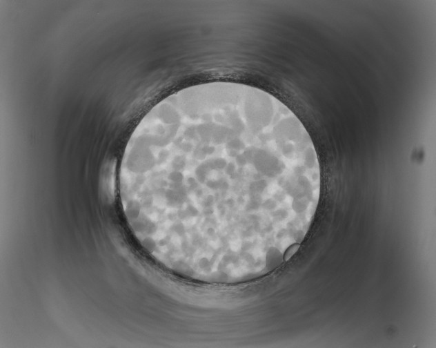 X0000114700028200912021118