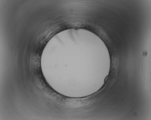 X0000114700029200912021118