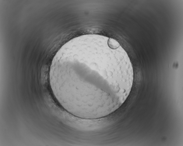 X0000114700030200912021118