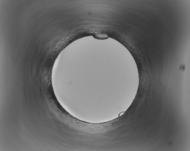 X0000114700031200912021118