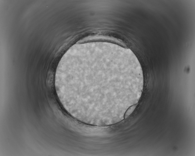 X0000114700036200912021118