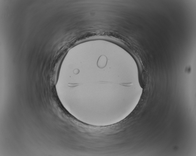 X0000114700039200912021118