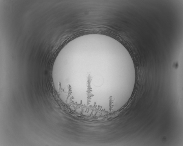 X0000114700041200912021118