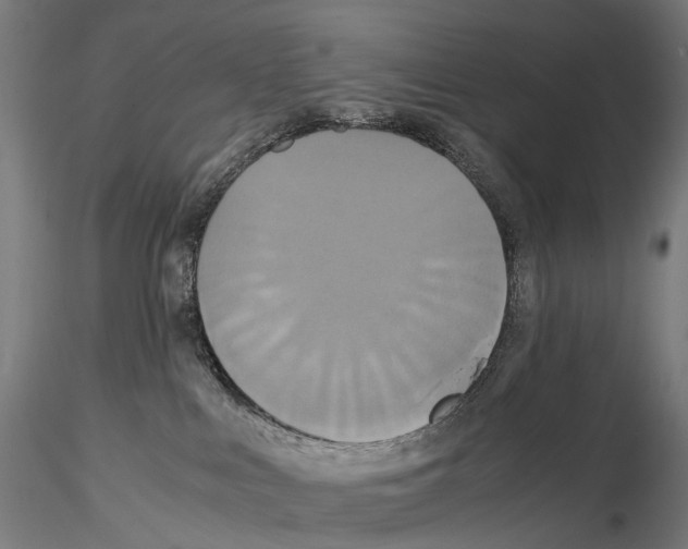 X0000114700043200912021118