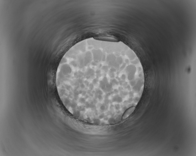 X0000114700044200912021118