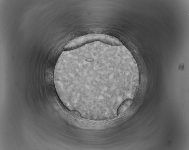 X0000114700048200912021117