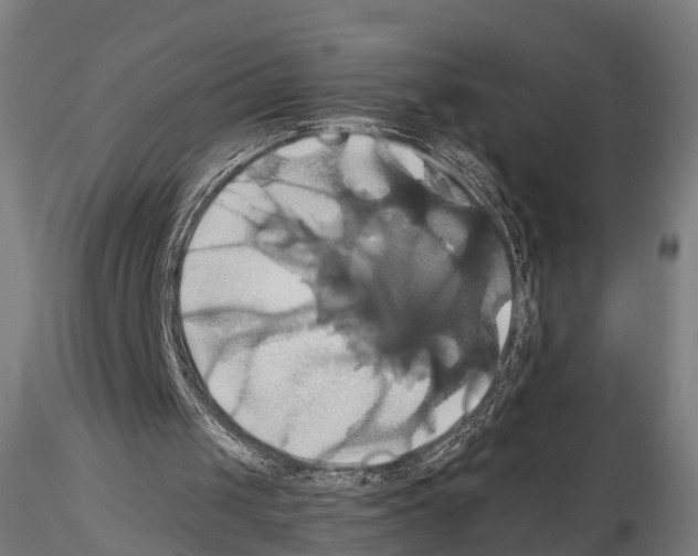 X0000114700049200912021117