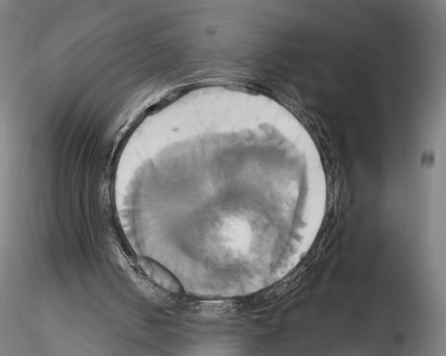 X0000114700050200912021117