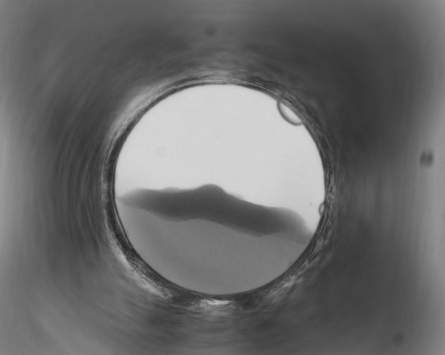 X0000114700055200912021117