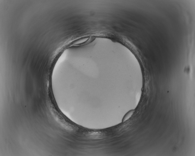 X0000114700059200912021117