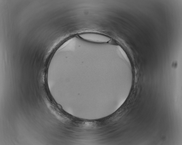 X0000114700060200912021117