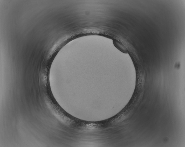 X0000114700064200912021117