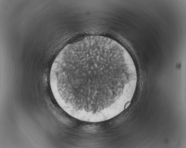 X0000114700065200912021117