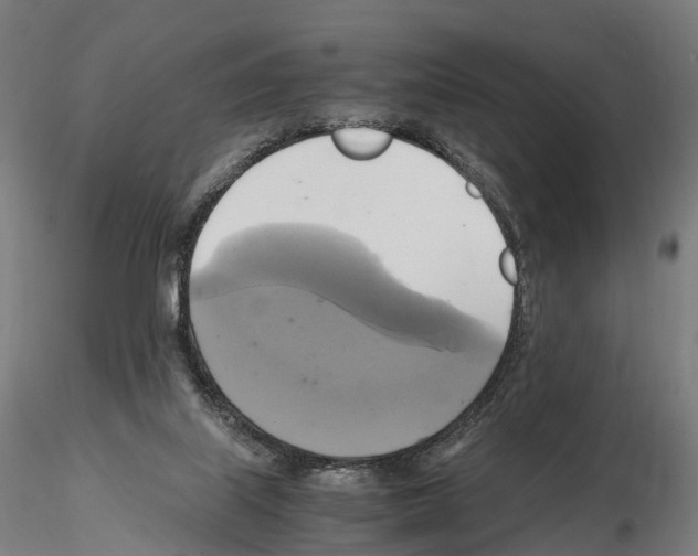 X0000114700067200912021117