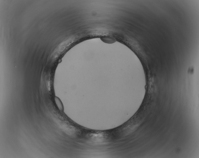 X0000114700068200912021117