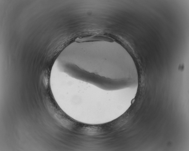 X0000114700069200912021117