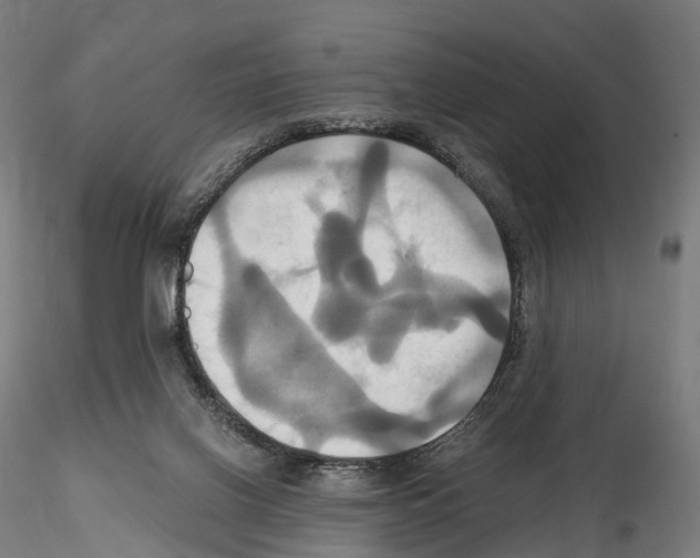 X0000114700070200912021117