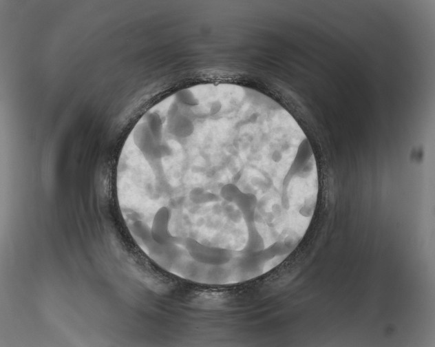 X0000114700071200912021117