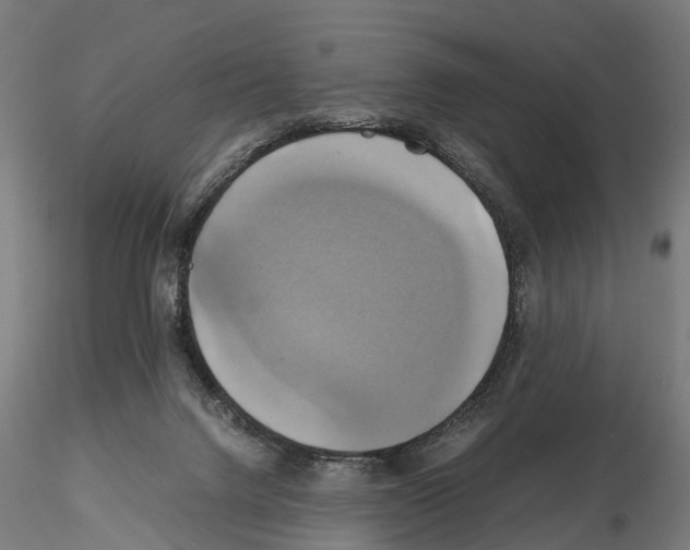 X0000114700072200912021117