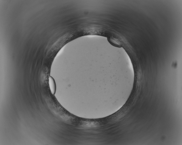 X0000114700073200912021117