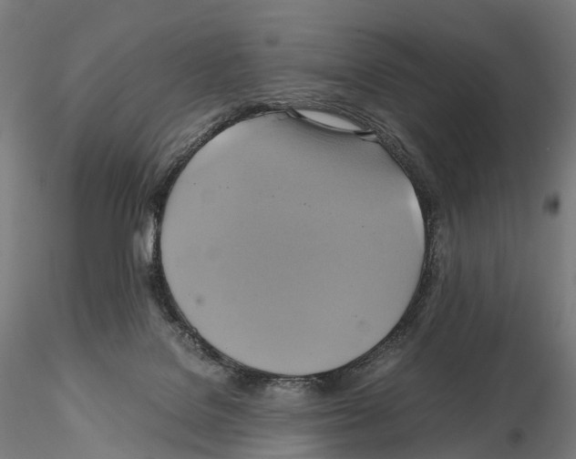 X0000114700076200912021117