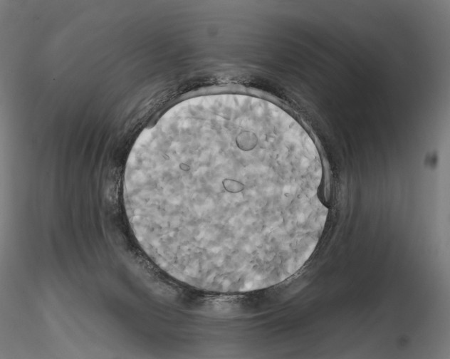 X0000114700078200912021117