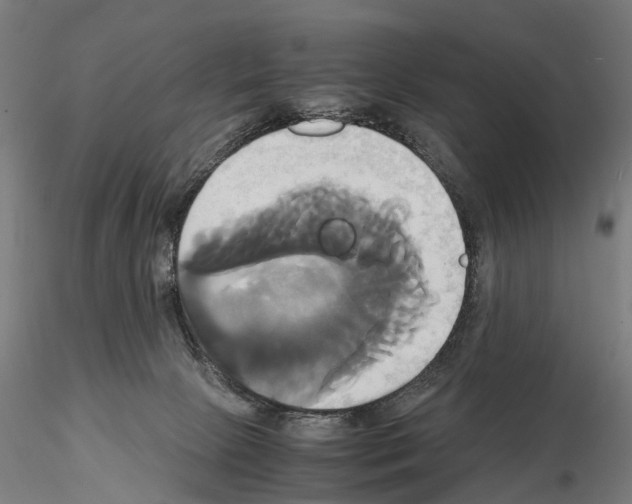 X0000114700081200912021117