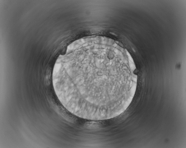 X0000114700082200912021117