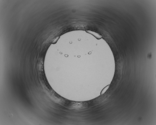 X0000114700083200912021117