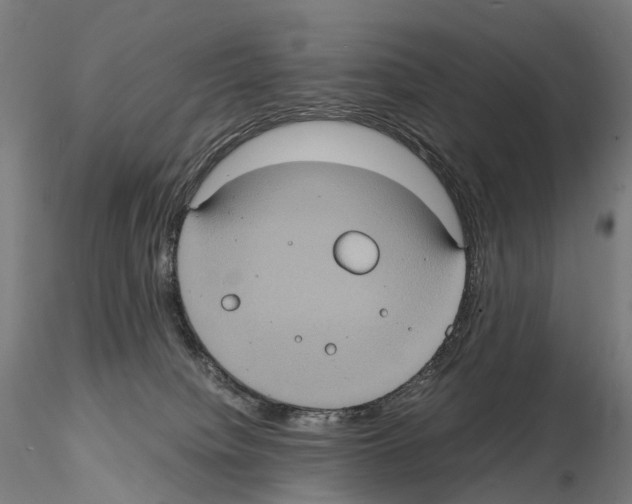 X0000114700084200912021117