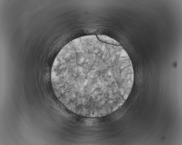 X0000114700085200912021117