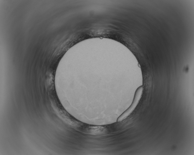 X0000114700087200912021117