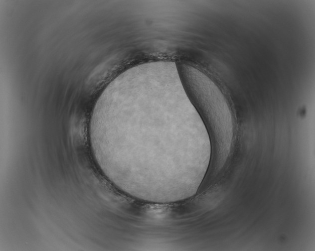 X0000114700088200912021117