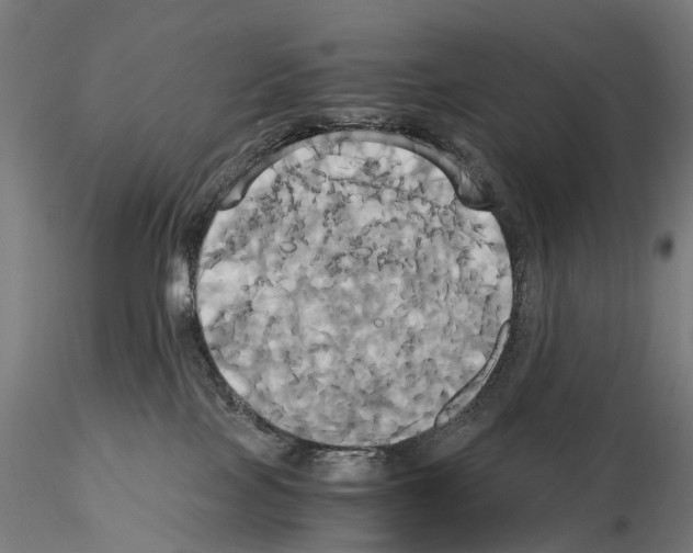 X0000114700089200912021117