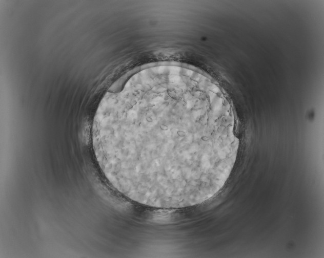 X0000114700090200912021117