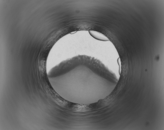 X0000114700093200912021117