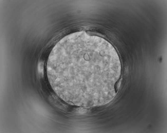 X0000114700094200912021117