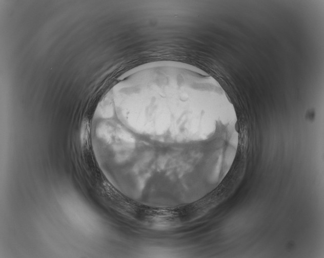 X0000114700095200912021117