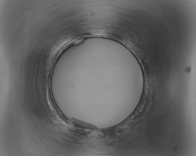 X0000114700097200912021117