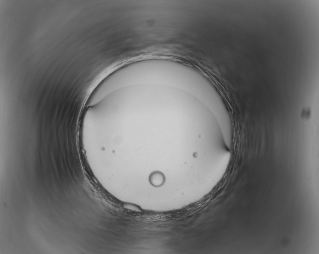 X0000114700100200912021117