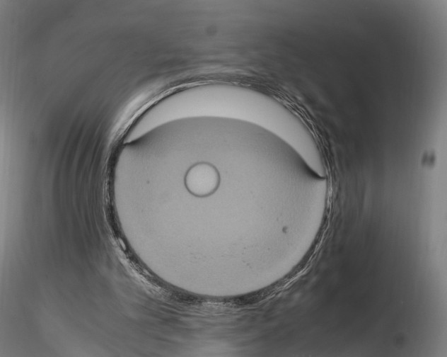 X0000114700101200912021117