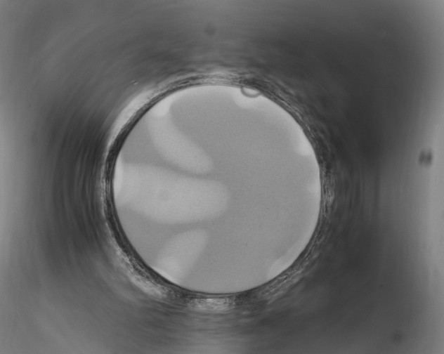 X0000114700102200912021117